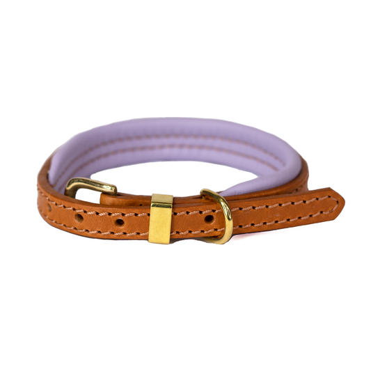 Padded Leather Dog Collar Lilac